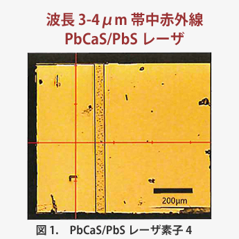 PbTe,PbSe,PbS等のⅣ-Ⅵ族