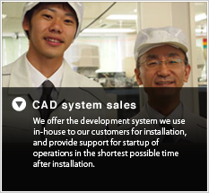 CADsystem sales